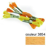 DMC 117 mouliné, fils à broder - couleur 3854