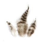 Plumes de chinchilla - 7,5-9 cm - 3 g