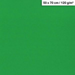 Feuille de papier Maya 50 x 70 cm 120 g/m² - Vert Sapin
