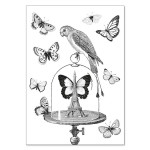 Carte double à colorier 12 x 17 cm Les papillons